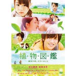 MIKI KOICHIRO / 三木康一郎 / 植物図鑑 運命の恋、ひろいました