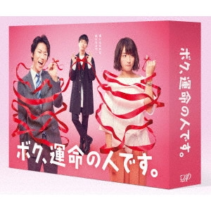 KAZUYA KAMENASHI / 亀梨和也 / ボク、運命の人です。 DVD-BOX