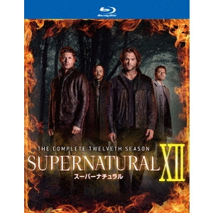 ジャレッド・パダレッキ / SUPERNATURAL XII スーパーナチュラル <トゥエルブ・シーズン> コンプリート・ボックス