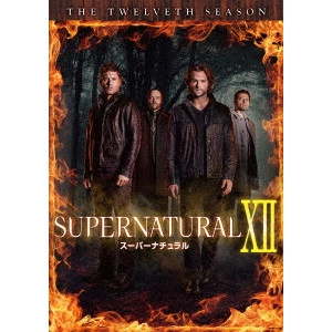 ジャレッド・パダレッキ / SUPERNATURAL XII スーパーナチュラル <トゥエルブ・シーズン> コンプリート・ボックス