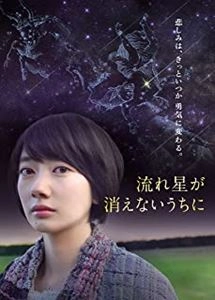 SHIBAYAMA KENJI / 柴山健次 / 流れ星が消えないうちに