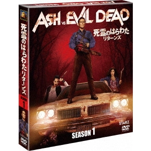 SAM RAIMI / サム・ライミ / 死霊のはらわた リターンズ シーズン1 SEASONS コンパクト・ボックス