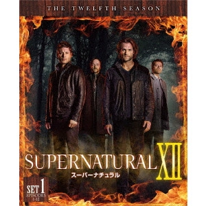 ジャレッド・パダレッキ / SUPERNATURAL XII スーパーナチュラル <トゥエルブ> 前半セット