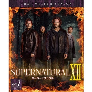 ジャレッド・パダレッキ / SUPERNATURAL XII スーパーナチュラル <トゥエルブ> 後半セット