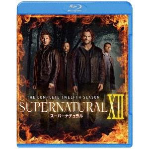ジャレッド・パダレッキ / SUPERNATURAL XII スーパーナチュラル <トゥエルブ> コンプリート・セット