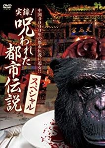 ICHINOSE YUJI / 市瀬裕士 / 実録!呪われた都市伝説 スペシャル