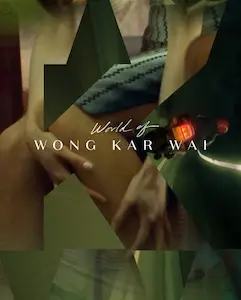 WONG KAR WAI / ウォン・カーウァイ / WORLD OF WONG KAR WAI