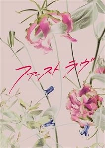 YUKIHIKO TSUTSUMI / 堤幸彦 / ファーストラヴ 豪華版