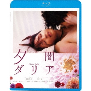 IKEDA CHIHIRO / 池田千尋 / 夕闇ダリア