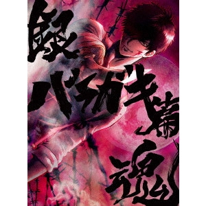 FUJITA YOICHI / 藤田陽一 / 銀魂オンシアター2D バラガキ篇