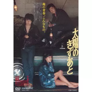 CHUSEI SONE / 曽根中生 / 太陽のきずあと