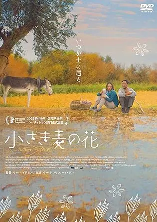 リー・ルイジュン / 小さき麦の花