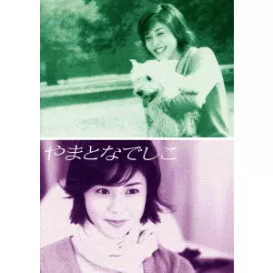 松嶋菜々子 / やまとなでしこ DVD-BOX