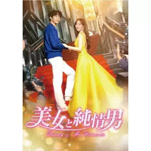 JI HYUN-WOO / チ・ヒョヌ / 美女と純情男 DVD-BOX4