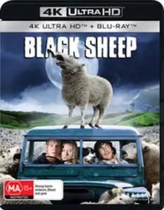 JONATHAN KING / ジョナサン・キング / BLACK SHEEP 4K UHD