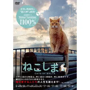 SARAH JAYNE PORTELLI / サラ・ジェイン・ポルテッリ / ねこしま