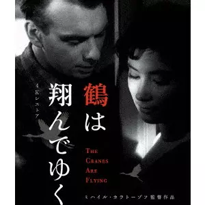 MIKHAIL KALATOZOV / ミハイル・カラトーゾフ / 鶴は翔んでゆく 4Kレストア ミハイル・カラトーゾフ ≪スペシャルプライス版≫