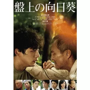 熊澤尚人 / 盤上の向日葵