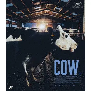 ANDREA ARNOLD / アンドレア・アーノルド / Ｃｏｗ／牛