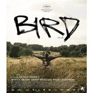 ANDREA ARNOLD / アンドレア・アーノルド / バード　ここから羽ばたく