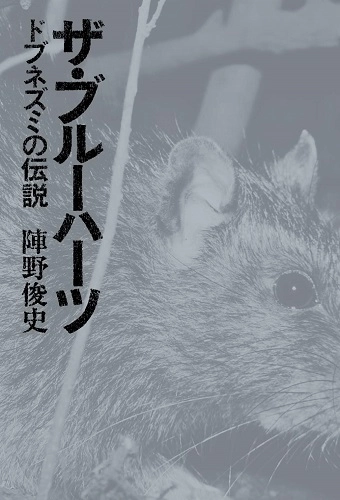 陣野俊史 / ザ・ブルーハーツ　ドブネズミの伝説