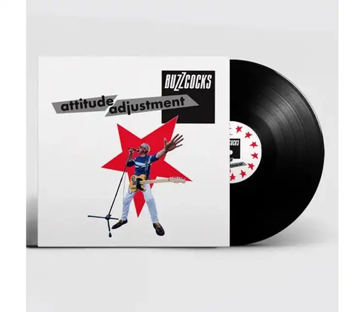 ATTITUDE ADJUSTMENT バズコックス PUNK LP